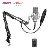 FELYBY Professional bm 800 Condenser Microphone